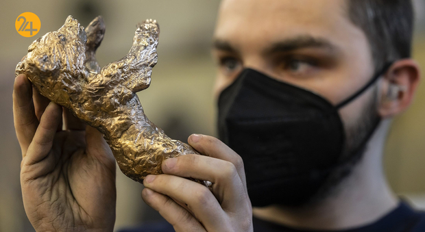 خرس طلایی برلین