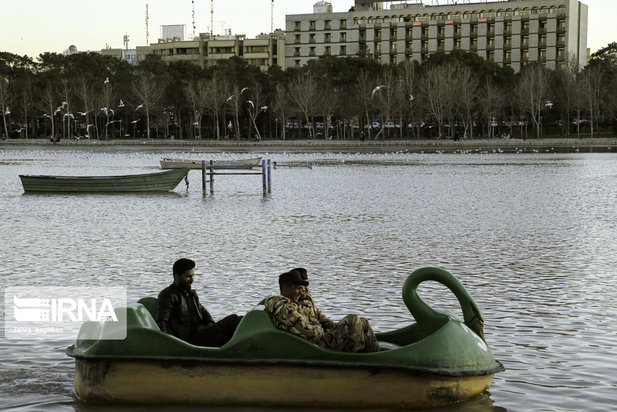 میزبانی زاینده رود از پرندگان مهاجر