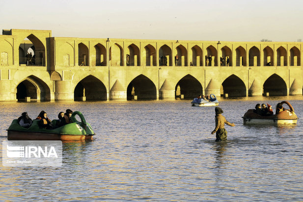 میزبانی زاینده رود از پرندگان مهاجر