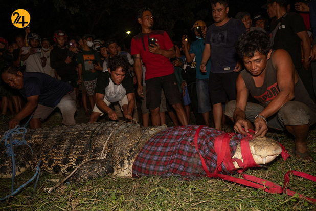 حیات وحش در هفته ای که گذشت