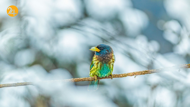 حیات وحش در هفته ای که گذشت