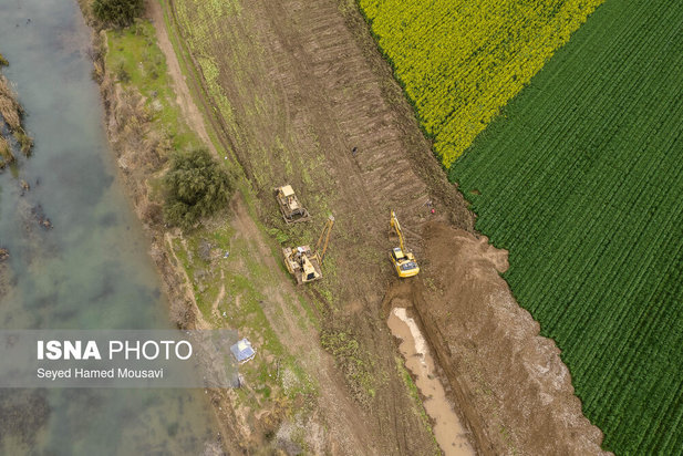 پارک ملی کرخه؛ زیستگاه گوزن زرد