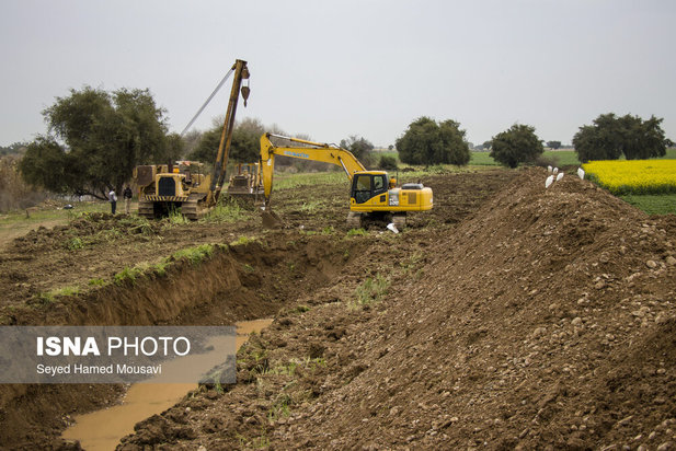 پارک ملی کرخه؛ زیستگاه گوزن زرد