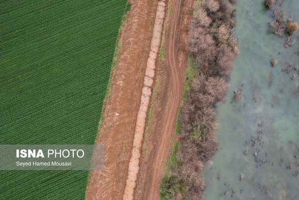 پارک ملی کرخه؛ زیستگاه گوزن زرد