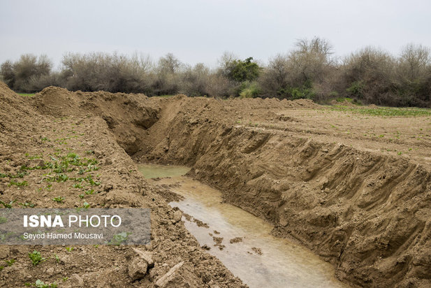 پارک ملی کرخه؛ زیستگاه گوزن زرد