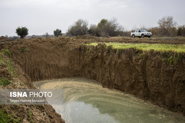 پارک ملی کرخه؛ زیستگاه گوزن زرد