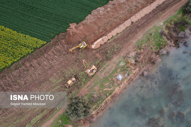 پارک ملی کرخه؛ زیستگاه گوزن زرد