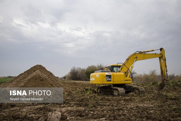 پارک ملی کرخه؛ زیستگاه گوزن زرد