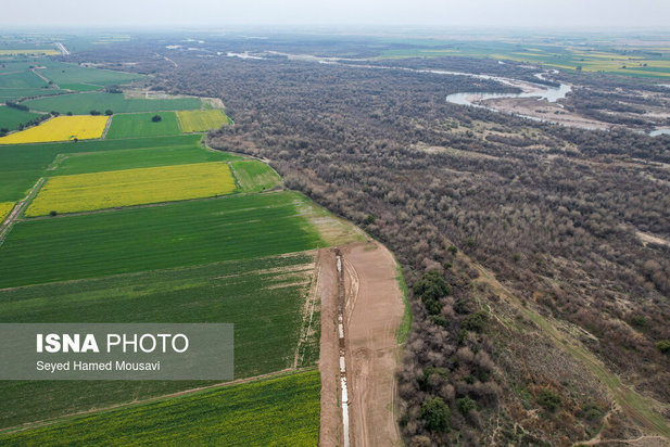 پارک ملی کرخه؛ زیستگاه گوزن زرد