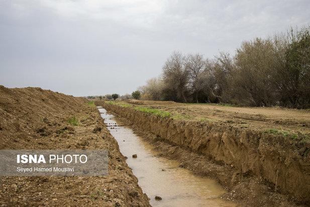 پارک ملی کرخه؛ زیستگاه گوزن زرد