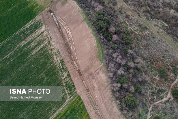 پارک ملی کرخه؛ زیستگاه گوزن زرد