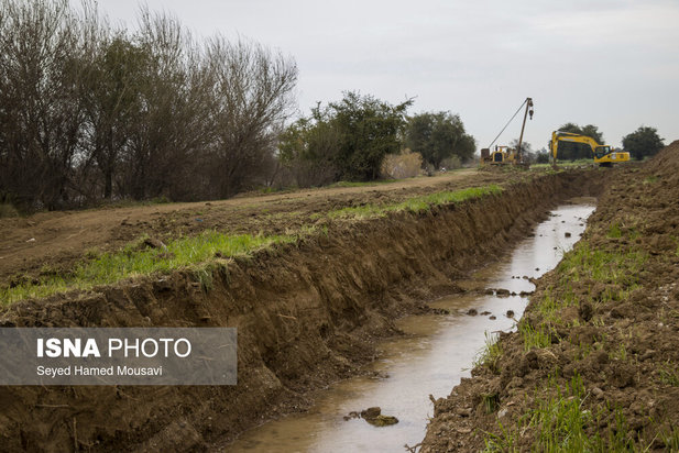 پارک ملی کرخه؛ زیستگاه گوزن زرد
