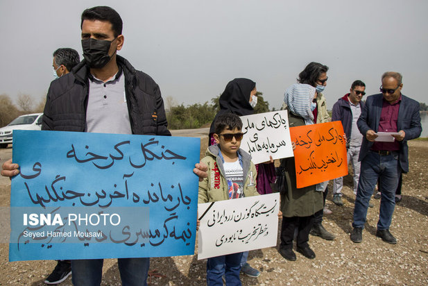 پارک ملی کرخه؛ زیستگاه گوزن زرد