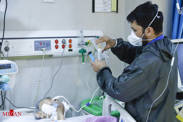 تب داغ امیکرون در بیمارستان‌های تهران