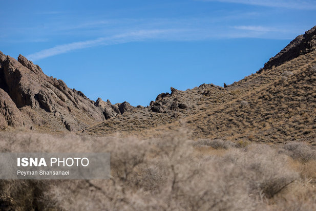 یخاب چشم انتظار نجات