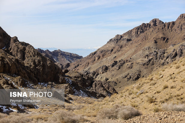 یخاب چشم انتظار نجات