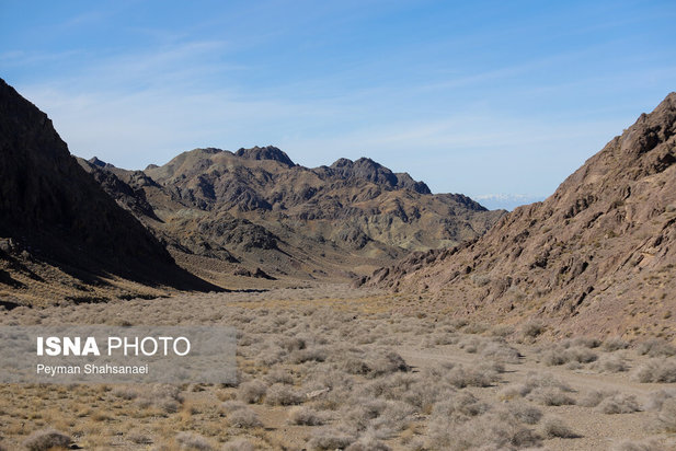 یخاب چشم انتظار نجات