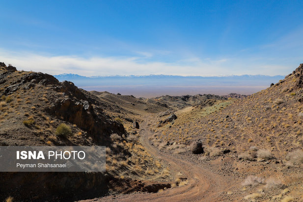 یخاب چشم انتظار نجات