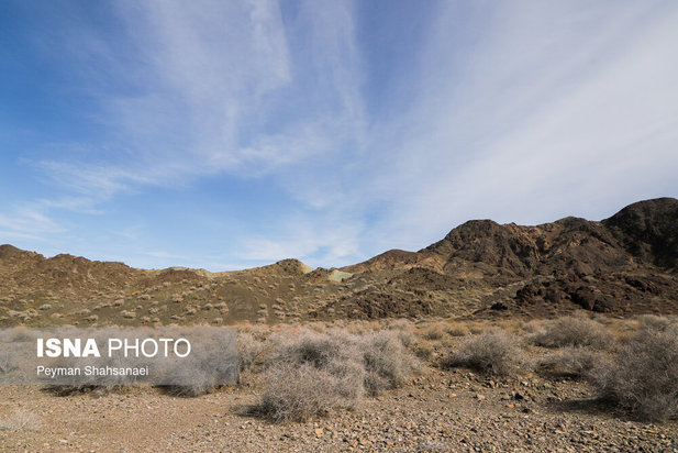 یخاب چشم انتظار نجات