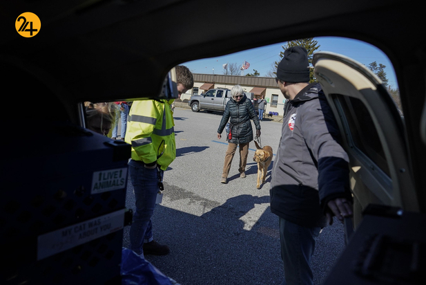 سگ های راهنما در زندگی نابینایان