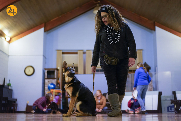 سگ های راهنما در زندگی نابینایان