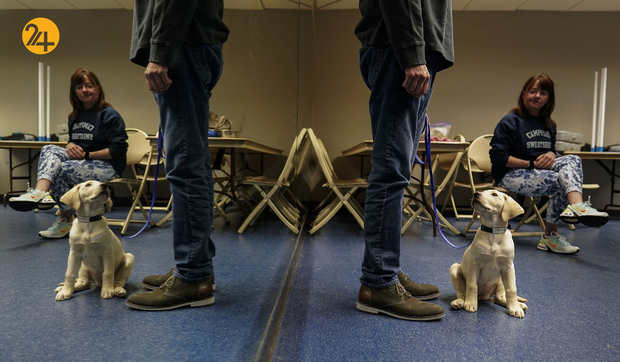 سگ های راهنما در زندگی نابینایان