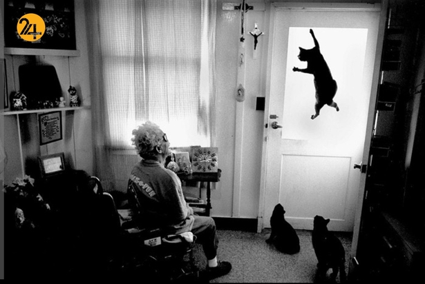 تاثیرگذارترین آثار جف وایدنر عکاس خبرنگار آمریکایی