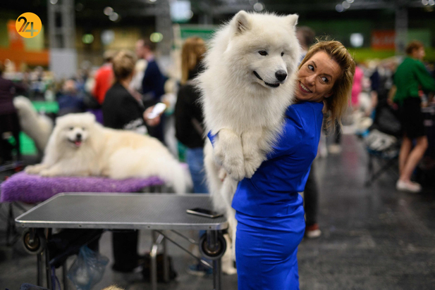 مسابقه نمایش سگ‌های جهان