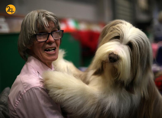 مسابقه نمایش سگ‌های جهان