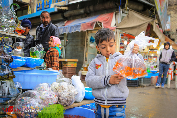 ماهی قرمز نوروز