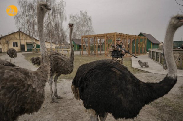 بهترین تصاویر هفته از حیات وحش