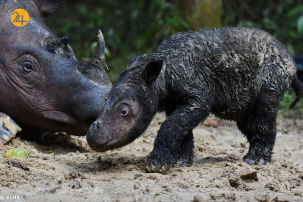 بهترین تصاویر هفته از حیات وحش