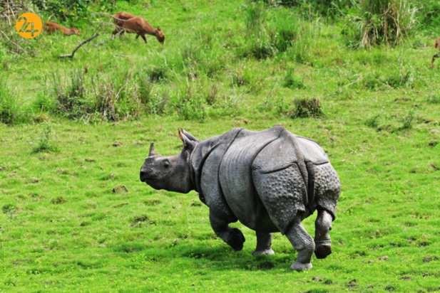 بهترین تصاویر هفته از حیات وحش