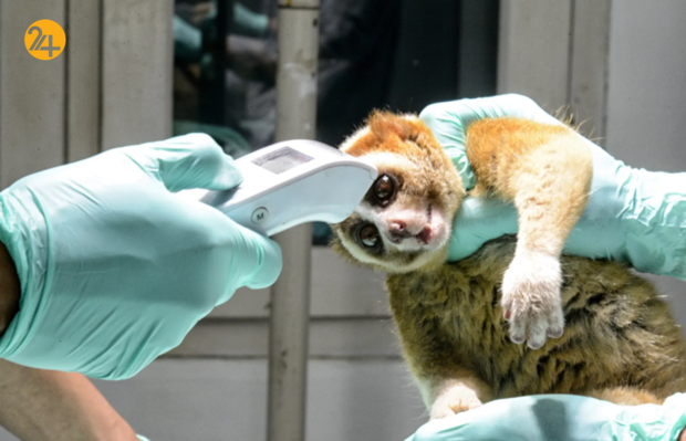 بهترین تصاویر هفته از حیات وحش