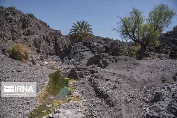 بندهای ذخیره حیات