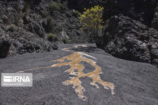 بندهای ذخیره حیات