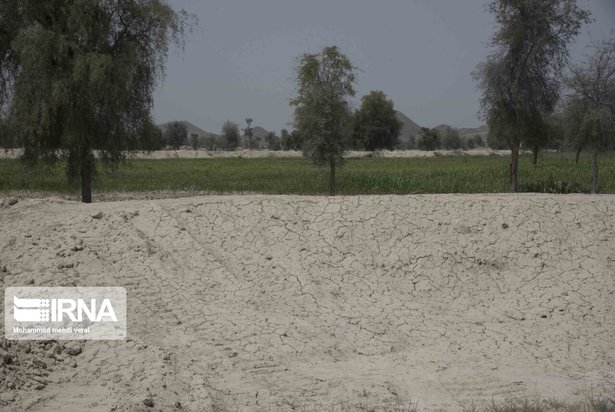 بندهای ذخیره حیات