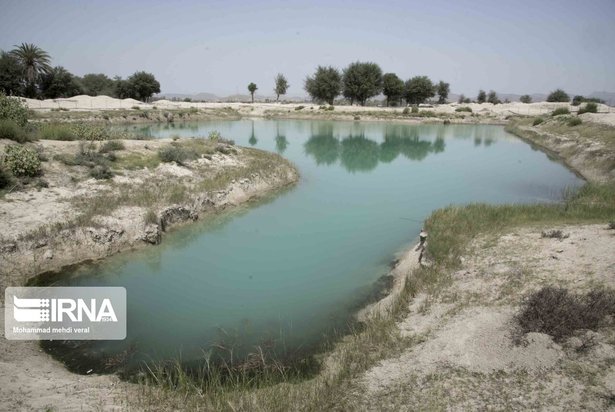 بندهای ذخیره حیات