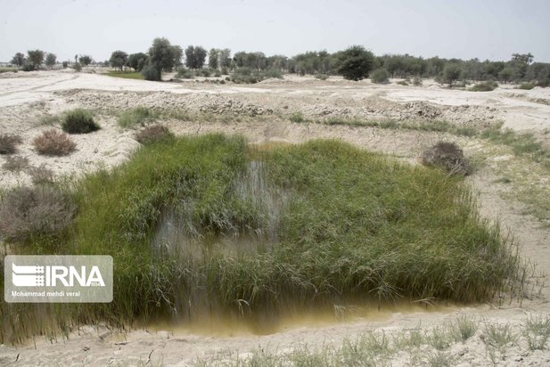 بندهای ذخیره حیات