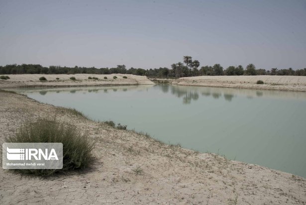 بندهای ذخیره حیات