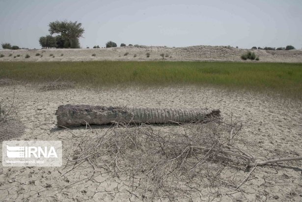 بندهای ذخیره حیات