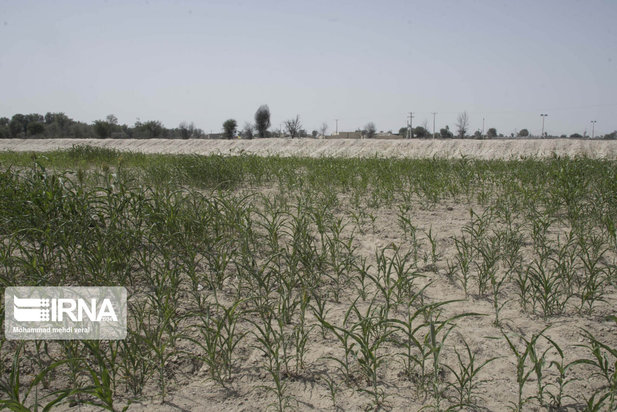 بندهای ذخیره حیات