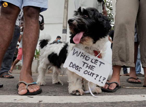 تشدید اعتراضات در سریلانکا