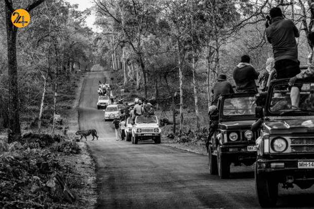 مسابقه عکاسی وورلدپرس