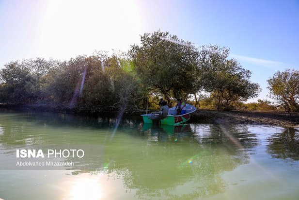 بهشت گمشده ایران