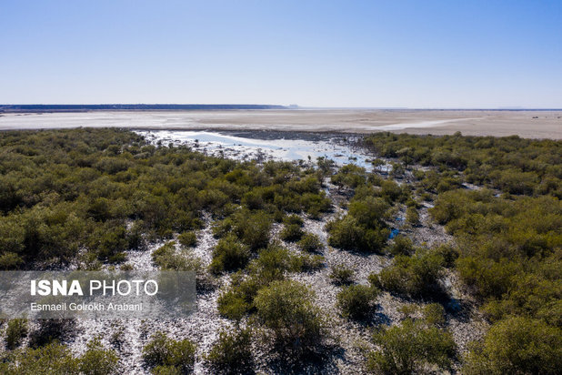 بهشت گمشده ایران
