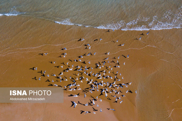 بهشت گمشده ایران