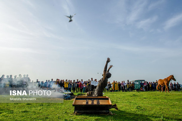 پتروشیمی میانکاله