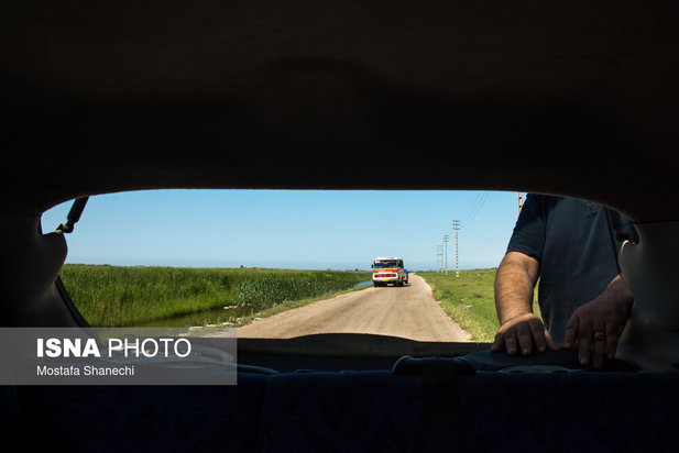 پتروشیمی میانکاله