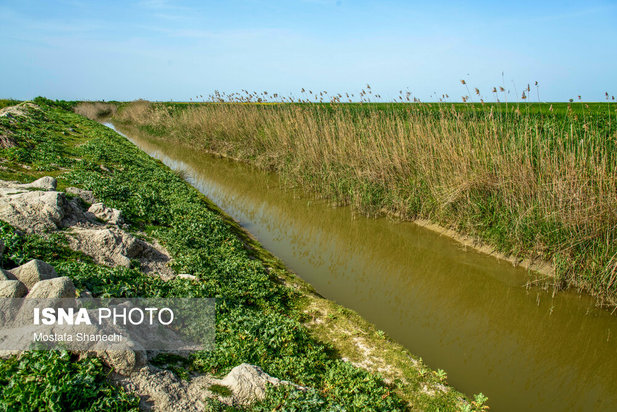 پتروشیمی میانکاله